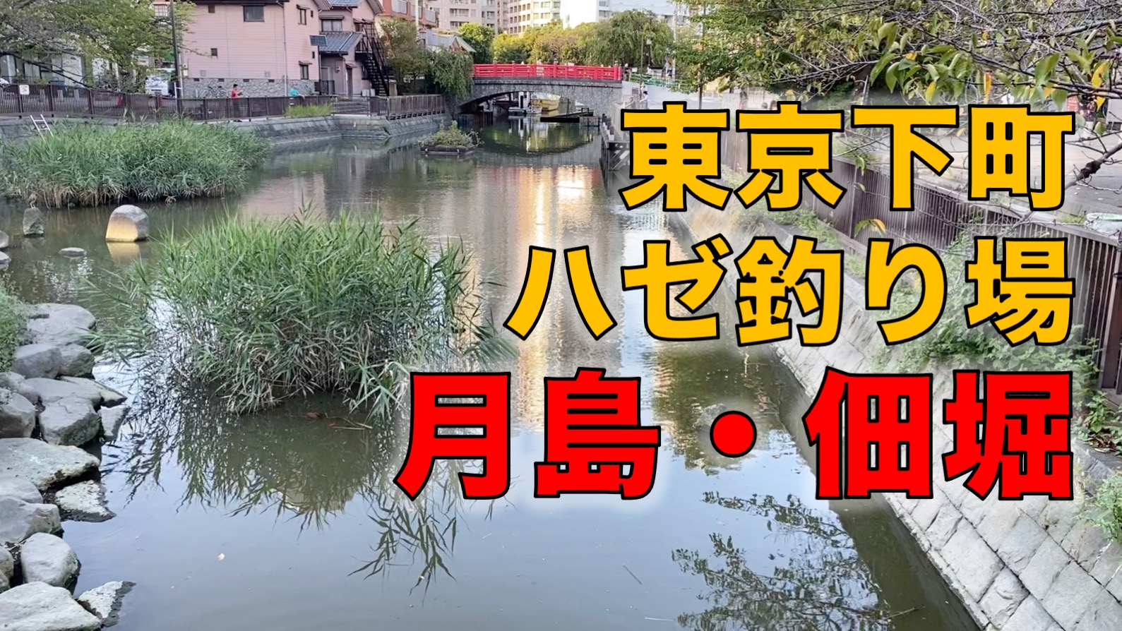 月島 佃堀 東京下町の情緒あふれるハゼ釣り場 東京湾奥釣り場探検隊 動画で東京 千葉 神奈川の海 川 池 沼などの釣り場を紹介