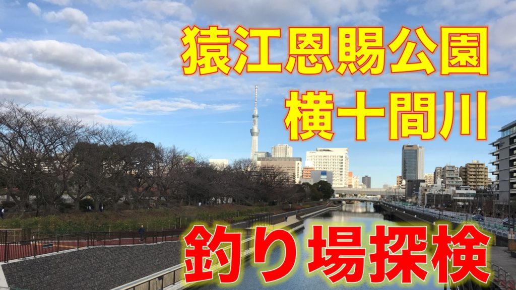 猿江恩賜公園横の横十間川｜駅徒歩5分、親子で安全に楽しめるハゼ釣り場