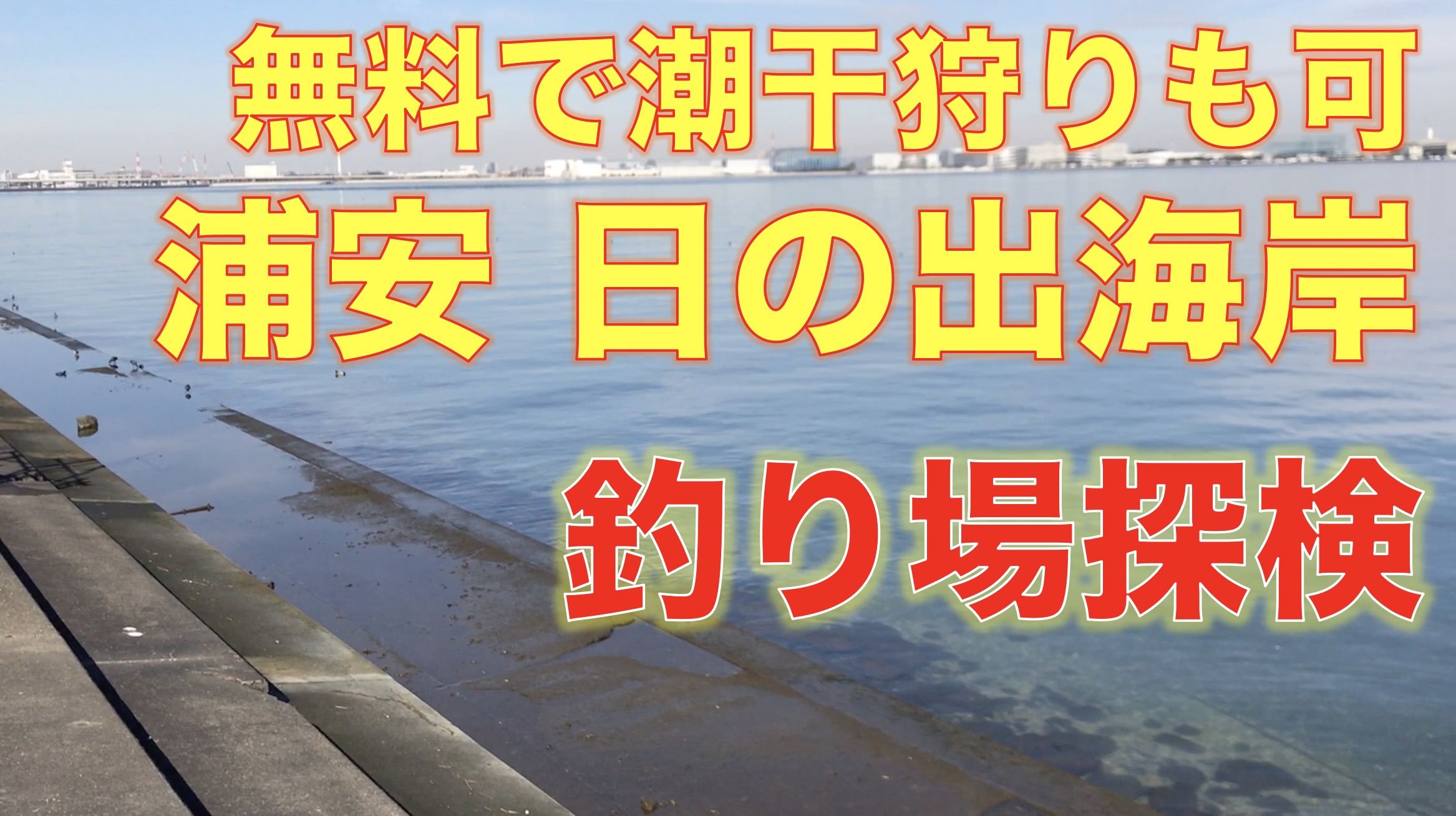 千葉県 袖ヶ浦海浜公園が釣り禁止に 東京湾奥釣り場探検隊 動画で東京 千葉 神奈川の海 川 池 沼などの釣り場を紹介