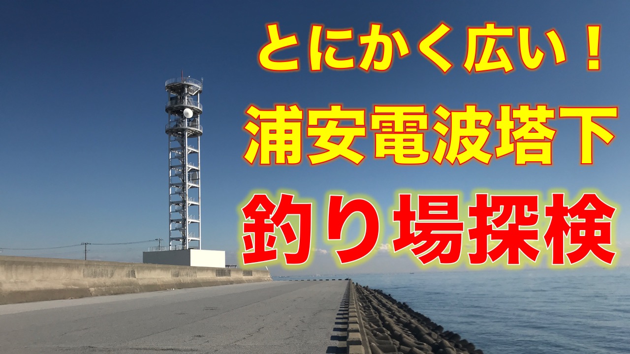 ディズニー裏の釣り場 東京湾奥釣り場探検隊 動画で東京 千葉 神奈川の海 川 池 沼などの釣り場を紹介