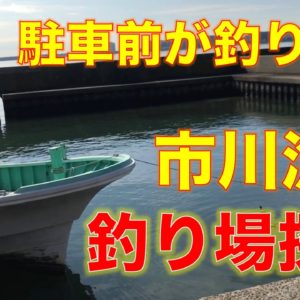 江戸川・ふれあい松戸川・樋野口排水機場前の釣り場