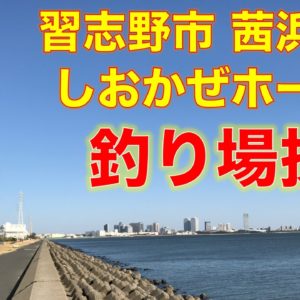 東京湾奥・三番瀬海域に青潮発生｜青潮の原因と仕組み、最新の発生状況を確認できる便利サイトも紹介