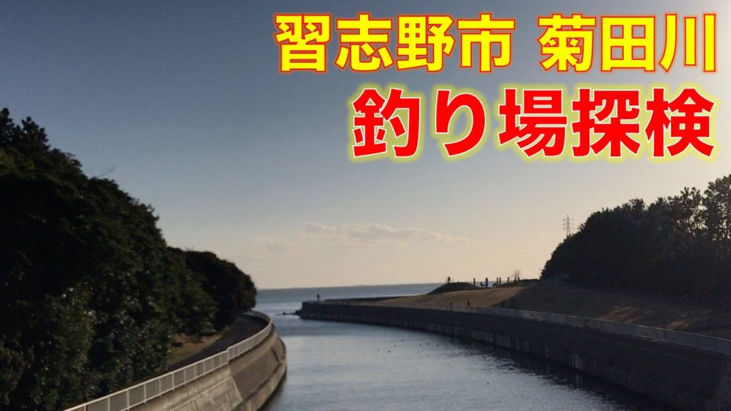 習志野市の菊田川の釣り場探検｜茜浜緑道・海浜公園を隔てるハゼ・シーバスの釣り場