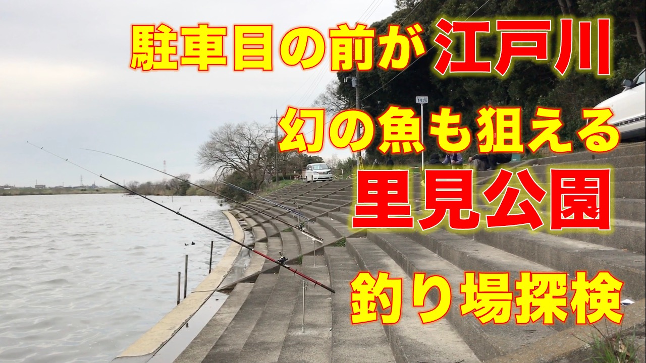 里見公園駐車場横の釣り場 駐車場目の前が江戸川 シーバス ウナギ そしてあの幻のアオウオも狙える 東京湾奥釣り場探検隊 動画で東京 千葉 神奈川の海 川 池 沼などの釣り場を紹介