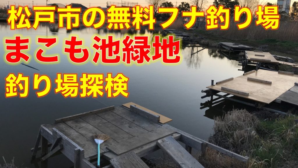 ヘラブナが無料で釣れる！まこも池緑地