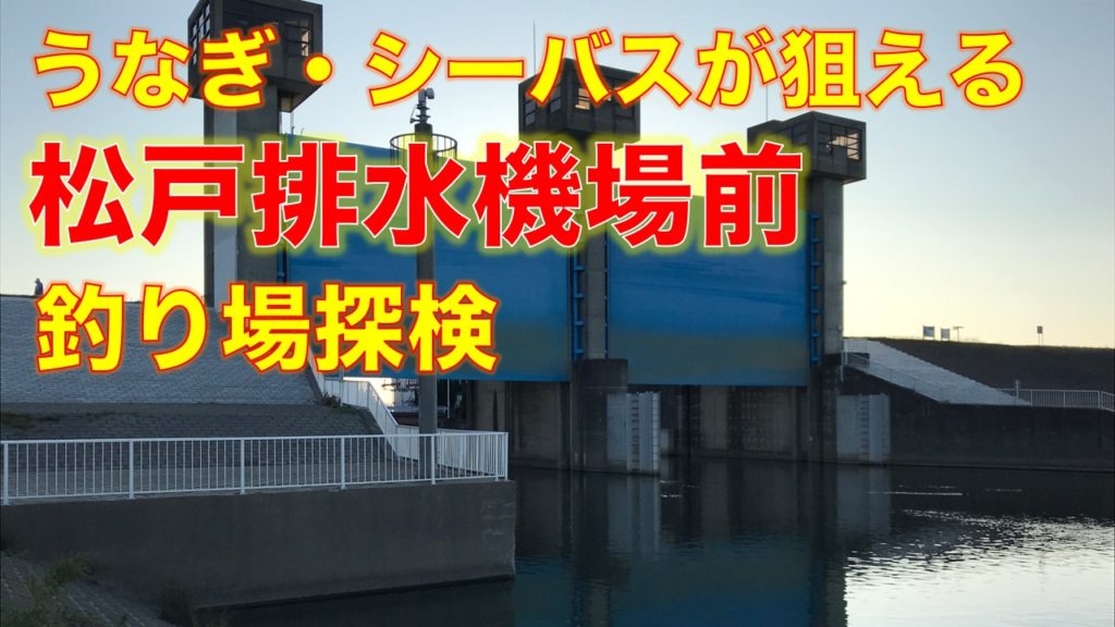 シーバス、うなぎが狙える！松戸排水機場前（江戸川・坂川合流地点）