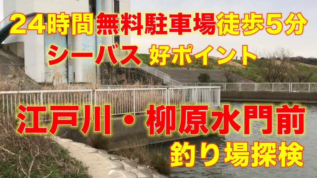 柳原水門前（柳原排水機場前）の釣り場｜24時間無料の駐車場から徒歩5分のシーバスポイント