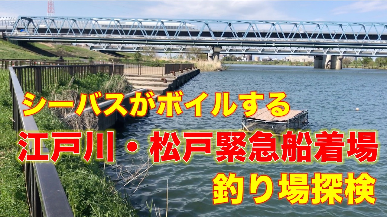 松戸市の釣り場 の記事一覧 東京湾奥釣り場探検隊 動画で東京 千葉 神奈川の海 川 池 沼などの釣り場を紹介