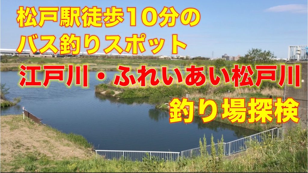 江戸川・ふれいあい松戸川｜松戸駅徒歩十分で行けるブラックバスと手長エビが釣れるポイント