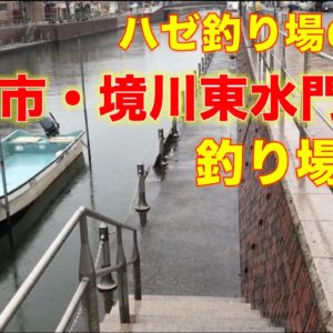 中川・東京慈恵会医科大学 葛飾医療センター裏の釣り場