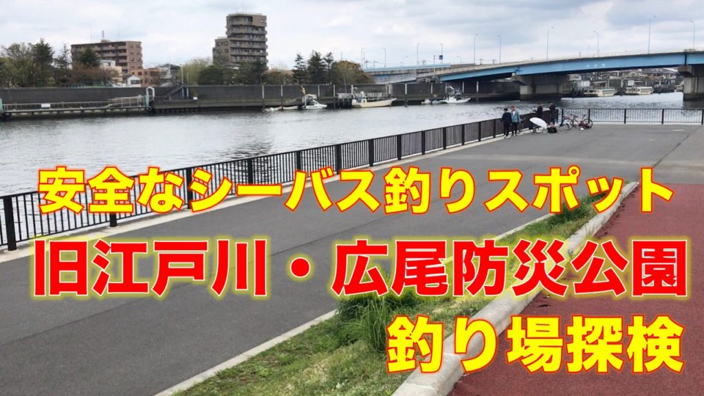旧江戸川・広尾防災公園裏船着場｜シーバス、ウナギが釣れる駐車場、トイレ、安全な柵がある釣り場