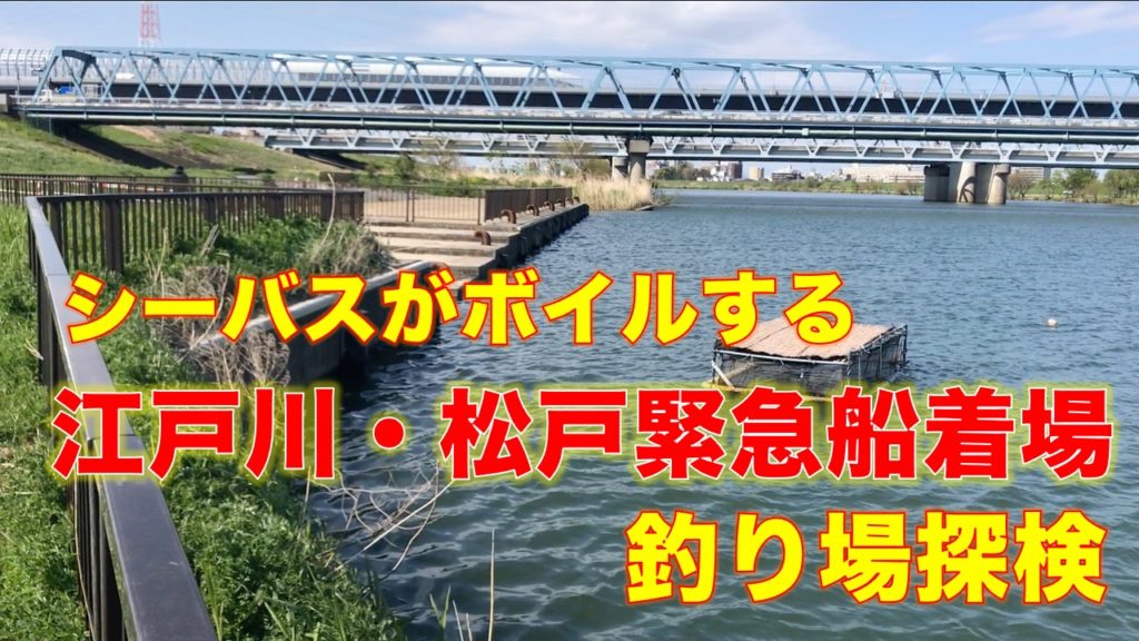江戸川・松戸緊急船着場｜シーバスが狙える穴場