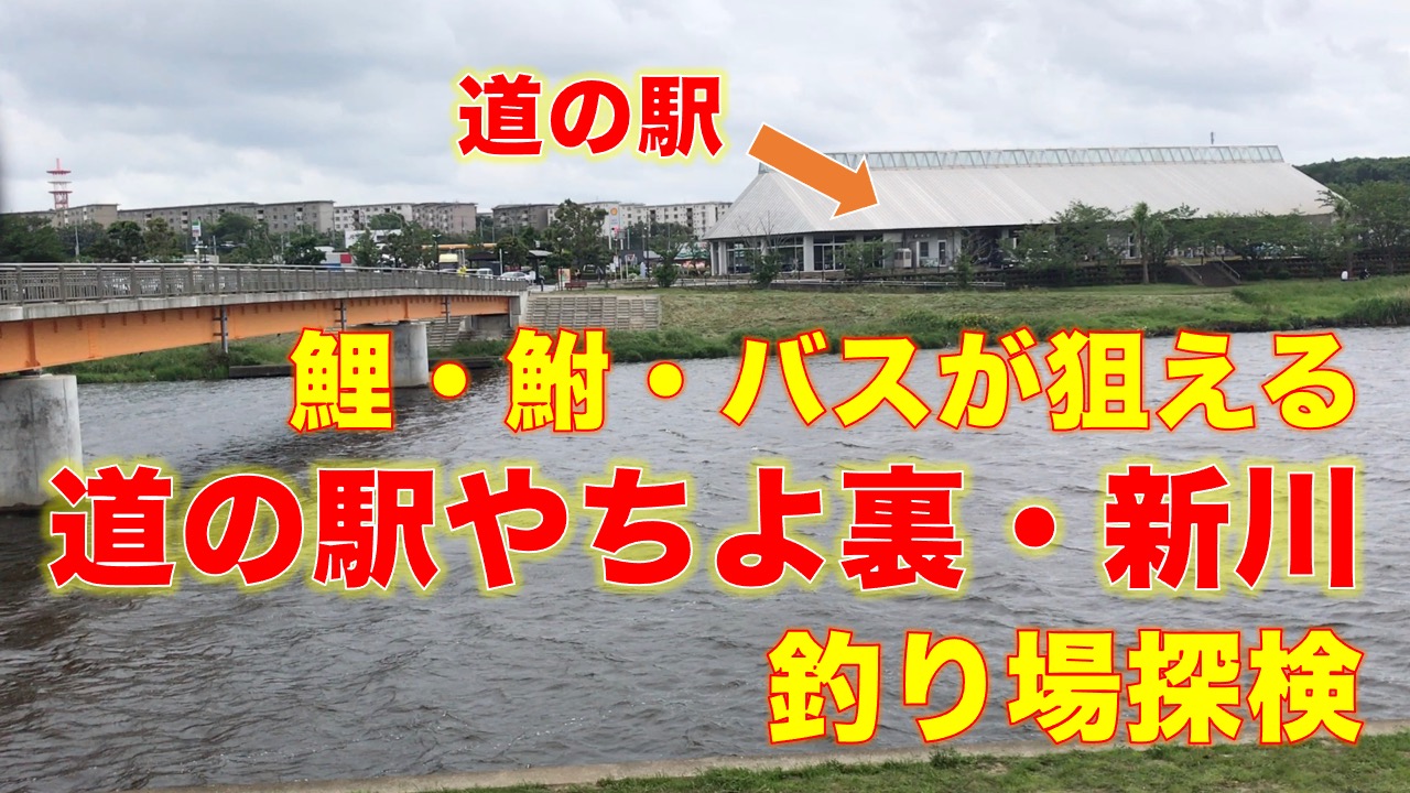 新川 印旛沼放水路 道の駅やちよ裏の釣り場 鯉 鮒 ブラックバスが狙える無料駐車場のある釣り場 東京湾奥釣り場探検隊 動画で東京 千葉 神奈川の海 川 池 沼などの釣り場を紹介