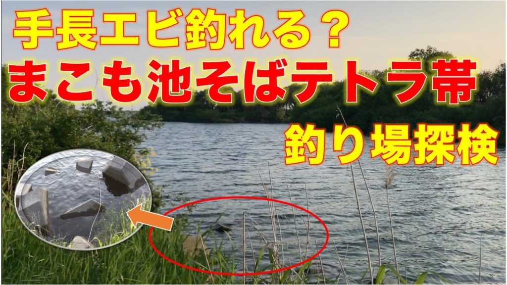 まこも池そばの江戸川テトラ帯｜無料駐車場徒歩５分