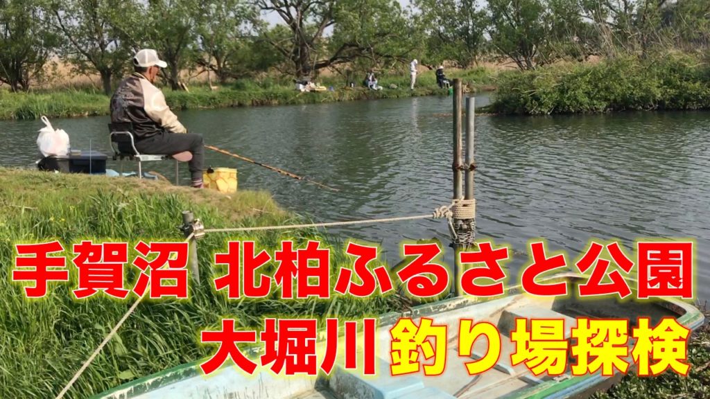 手賀沼・北柏ふるさと公園「大堀川」の釣り場