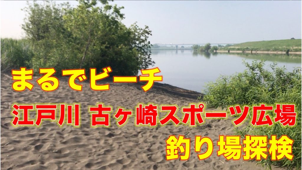江戸川 古ヶ崎スポーツ広場の釣り場