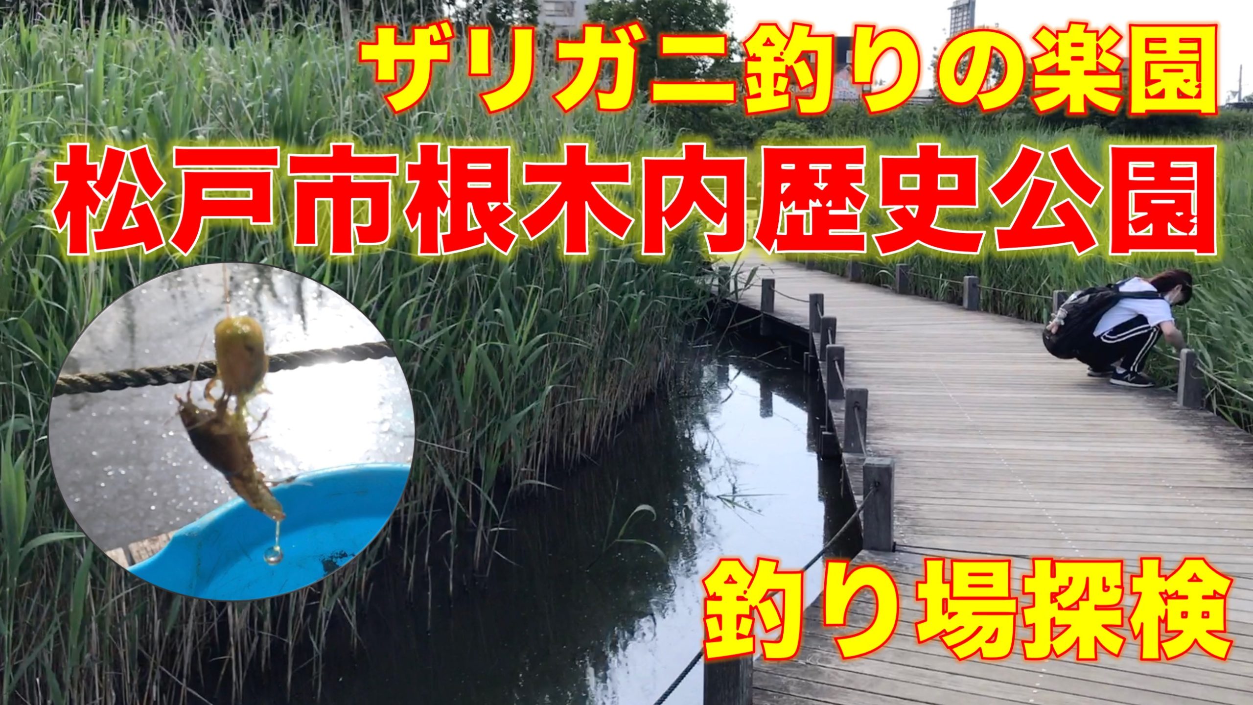 手賀沼 北柏ふるさと公園 大堀川 の釣り場 東京湾奥釣り場探検隊 動画で東京 千葉 神奈川の海 川 池 沼などの釣り場を紹介