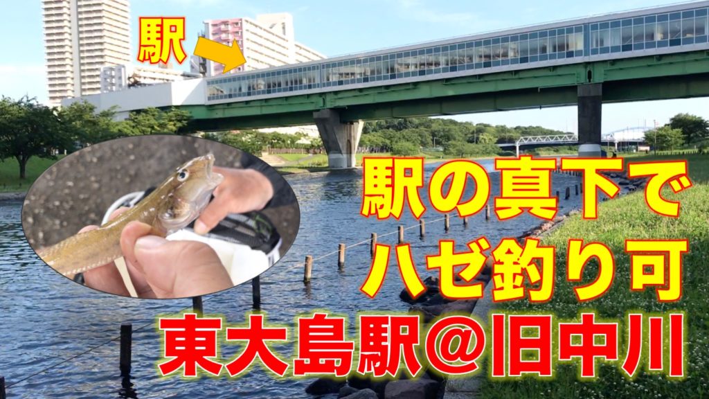 東大島駅の真下でハゼ釣り！旧中川