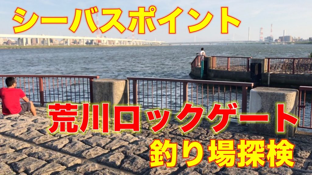 シーバスが釣れる荒川ロックゲートの釣り場