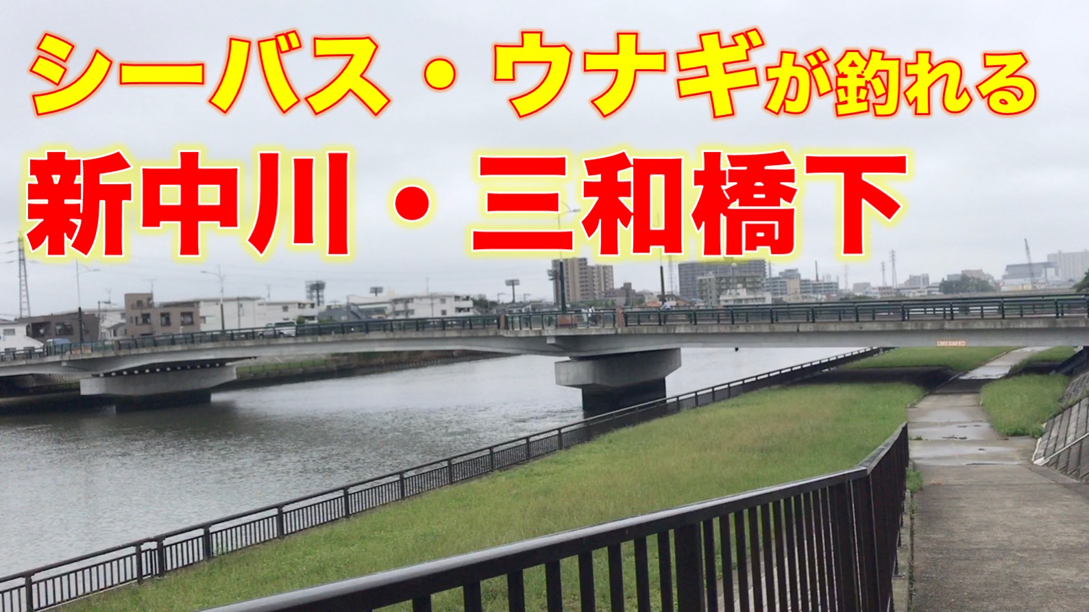 新中川 三和橋下の川沿いテラスの釣り場探検 シーバス 黒鯛 ウナギ ニゴイが狙える 東京湾奥釣り場探検隊 動画で東京 千葉 神奈川の海 川 池 沼などの釣り場を紹介
