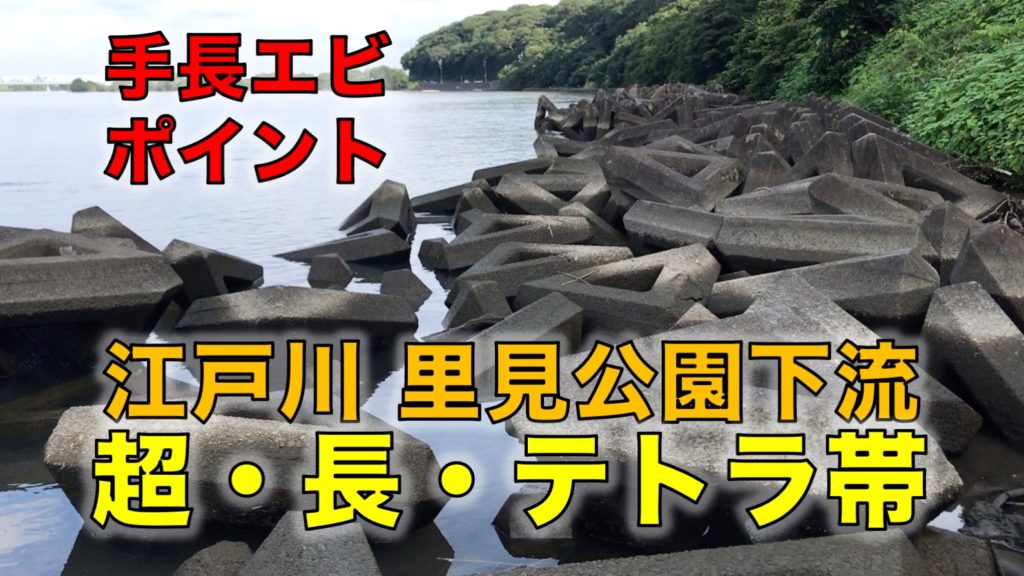 江戸川の里見公園下流のテトラ帯の釣り場