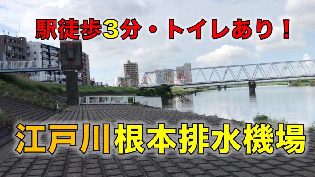 江戸川・根本排水機場前の釣り場