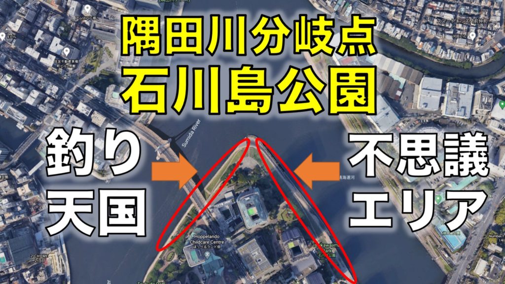 隅田川・晴海運河分岐点「石川島公園」柵、トイレがあるシーバスが狙える釣り場