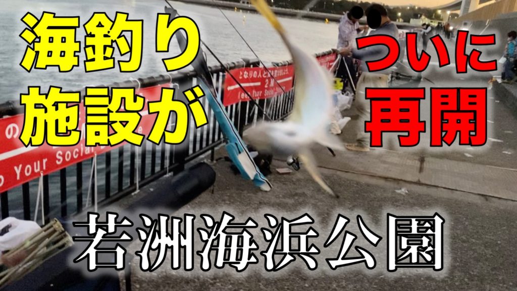台風19号で損傷してから閉まっていた若洲海浜公園の海釣り施設が再開！