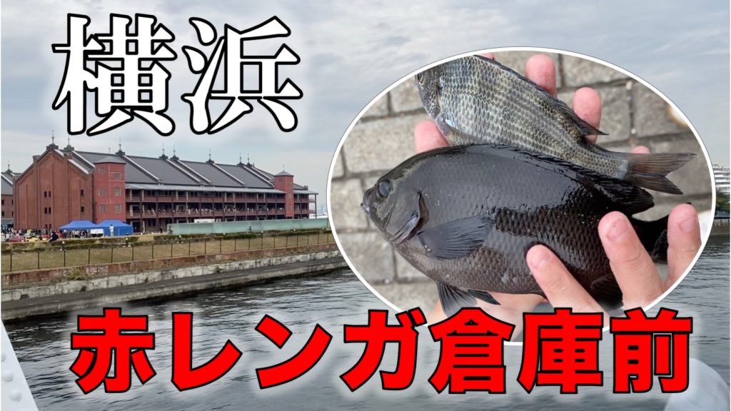 横浜・赤レンガ倉庫で釣り｜駐車場そば、柵・トイレあり