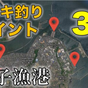 トイレ完備 雨天でも釣りができる船橋港親水公園 ハゼ シーバス タチウオ ヒイカが釣れる 東京湾奥釣り場探検隊 動画で東京 千葉 神奈川の海 川 池 沼などの釣り場を紹介