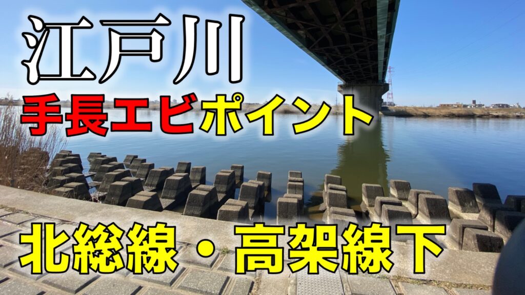 江戸川・北総線高架線下の手長エビ釣りポイント