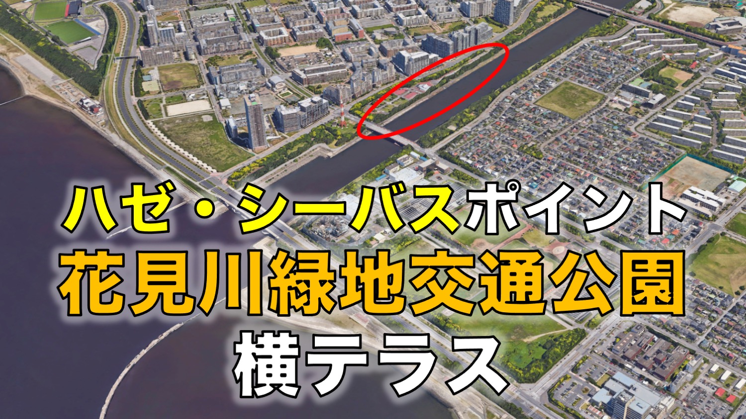 ハゼ シーバスが狙える 花見川緑地交通公園 横テラスの釣り場 東京湾奥釣り場探検隊 動画で東京 千葉 神奈川の海 川 池 沼などの釣り場を紹介