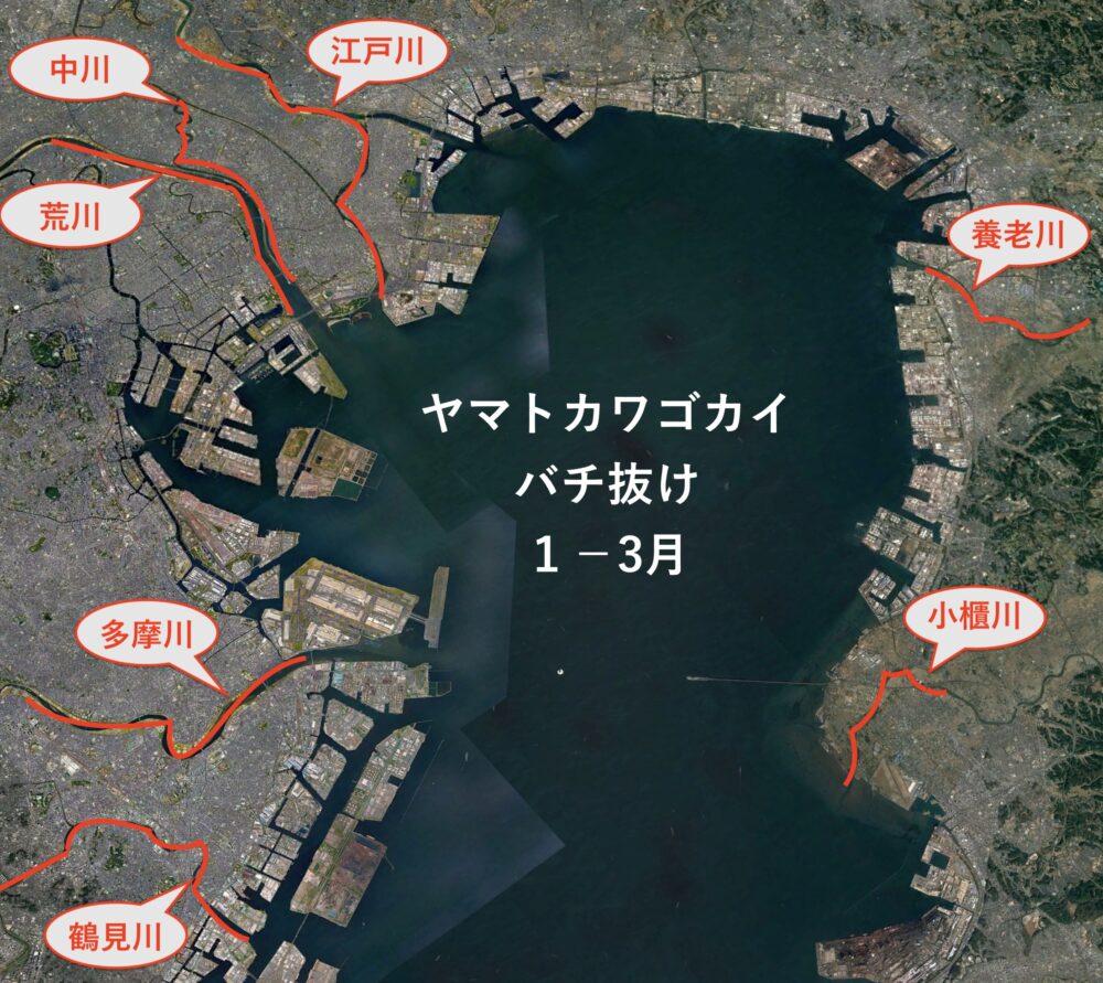 初心者向けバチ抜けシーバスゲームの攻略方法 東京湾奥釣り場探検隊 動画で東京 千葉 神奈川の海 川 池 沼などの釣り場を紹介