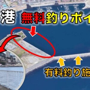 途中解放された検見川浜西突堤の釣り場をチェック！