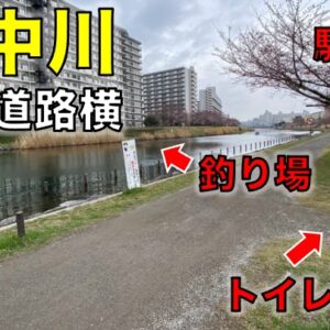 佃公園の隅田川テラス｜シーバスが狙えるトイレと柵がある釣り場
