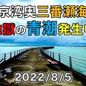 手賀沼の穴場・釣り堀「沼南園」廃墟｜モエビが大量に沸いているエビ天国