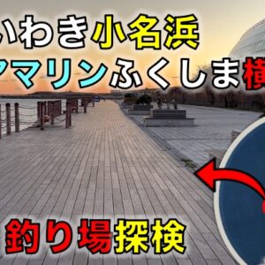 高洲海浜公園の釣り場｜タコ釣り、穴釣り、カゴ釣りが楽しめる無料駐車場完備の広大な釣り場