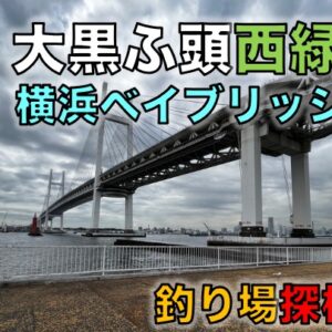 綾瀬駅徒歩3分で行けるウナギが釣れる綾瀬川のテラス