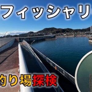 江ノ島・白灯台＆湘南大堤防の釣り場