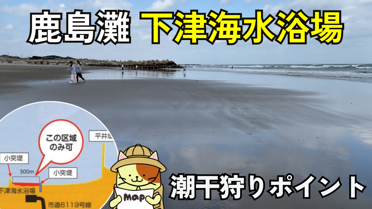 下津海水浴場の釣り・潮干狩りガイド｜鹿島灘の恩恵を受けるヒラメの聖地とハマグリの無料潮干狩り場