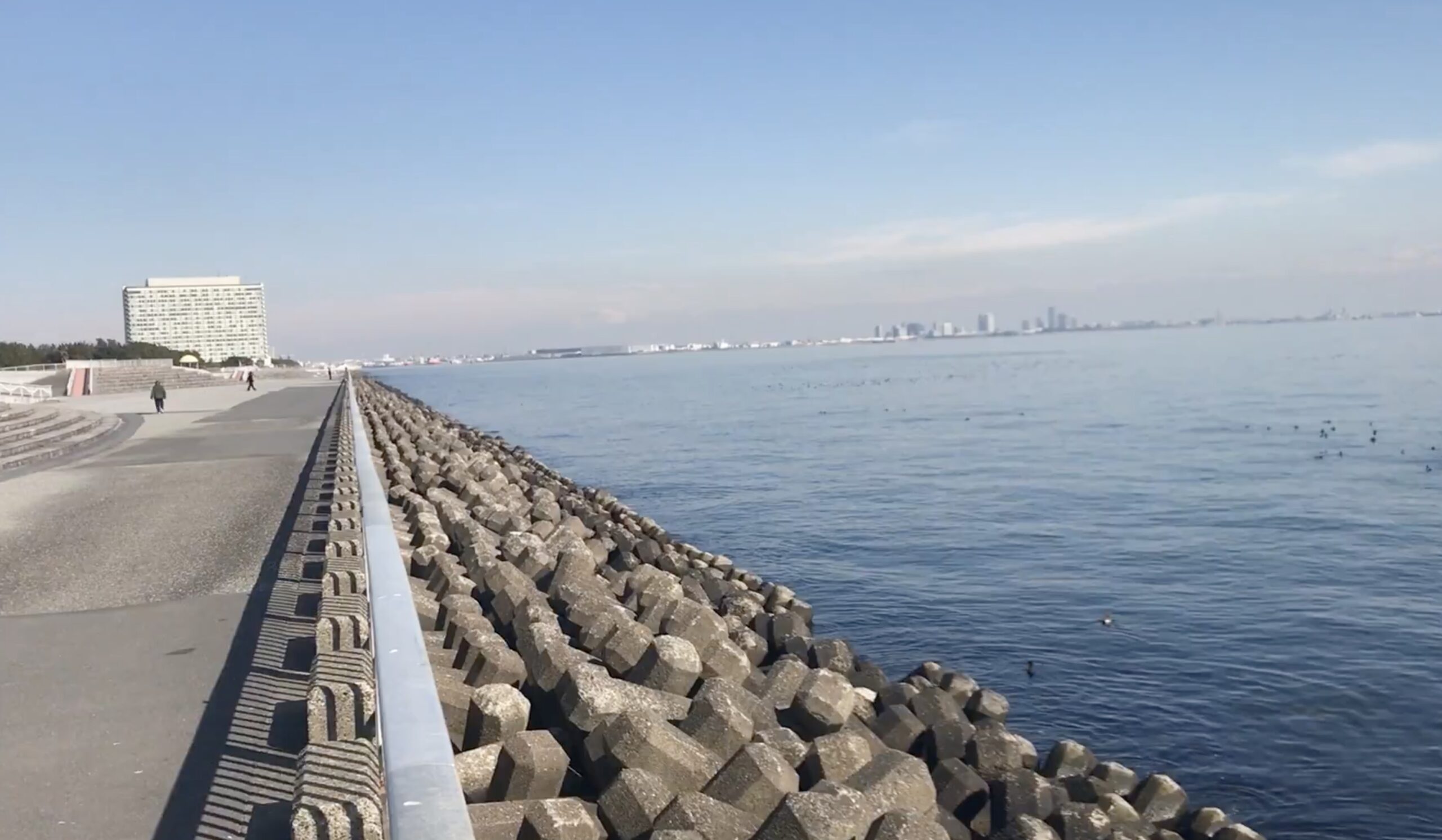 【浦安テトラ帯】立ち入り禁止の法的根拠は？「入れる場所」との境界線を解説