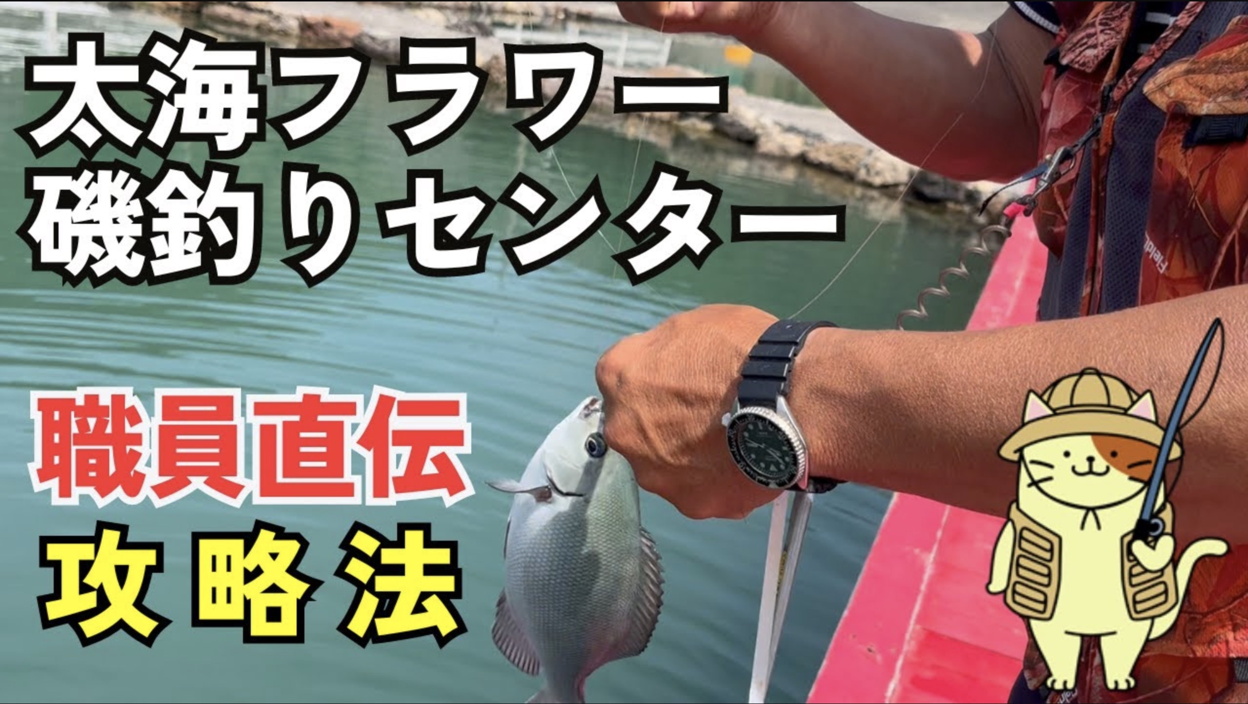 太海フラワー磯釣りセンターの釣り場ガイド！南房総で本格的な磯釣りを手軽に体験
