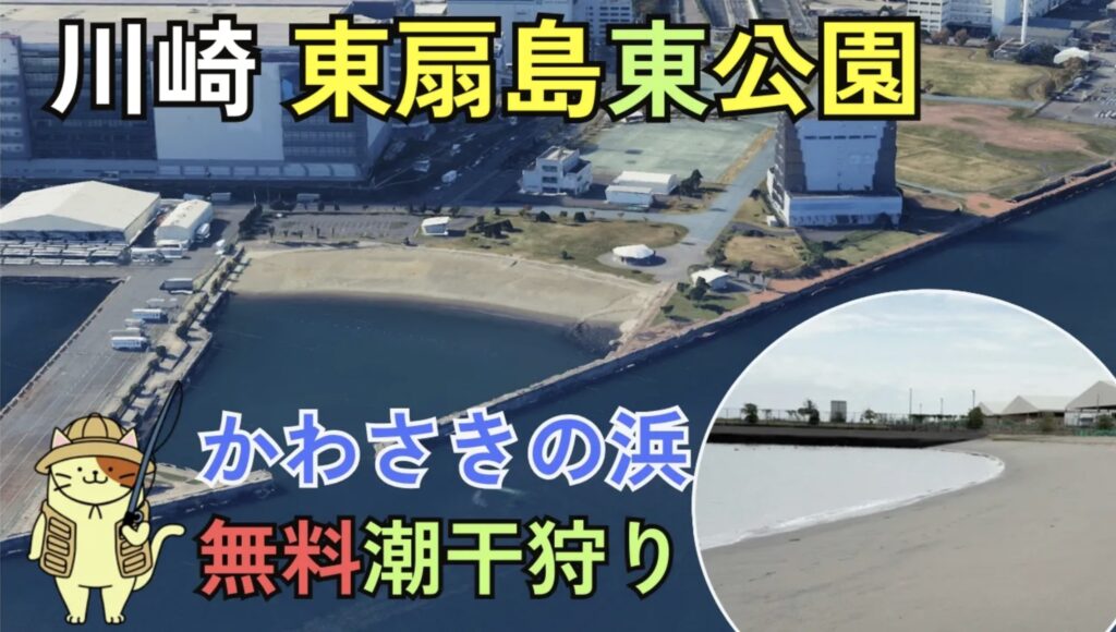 東扇島東公園の潮干狩りガイド！釣り禁止エリアで楽しむ天然アサリ採取のコツ
