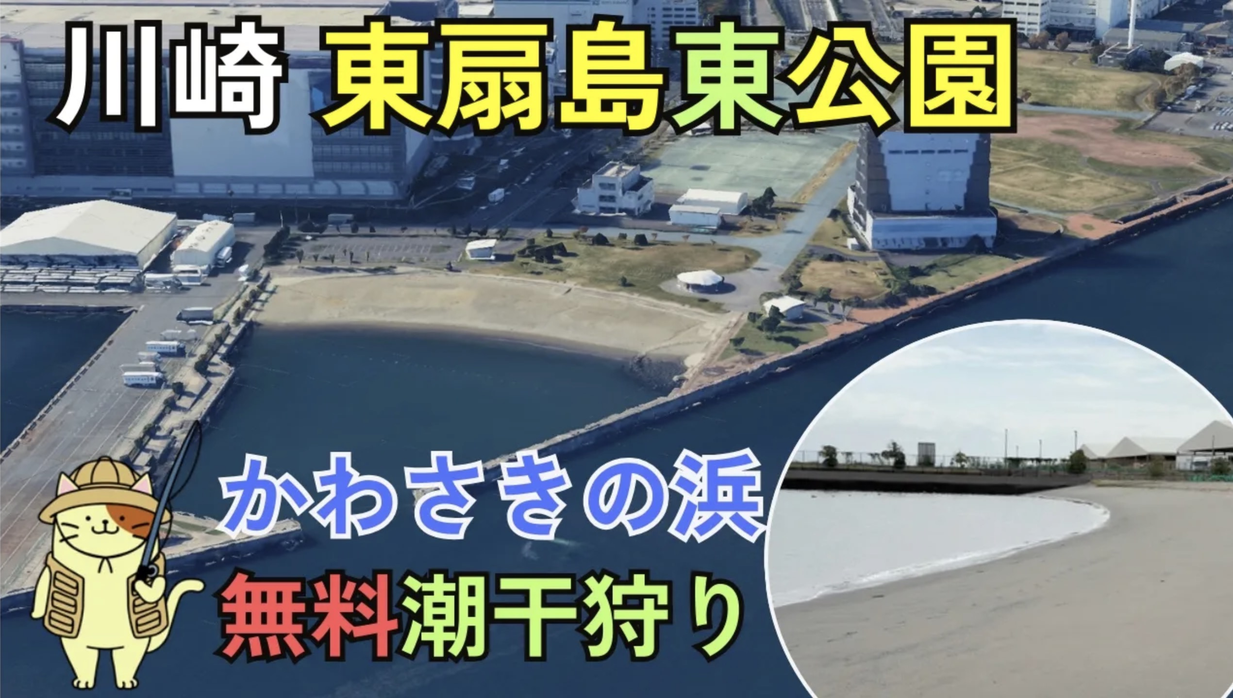 東扇島東公園の潮干狩りガイド！釣り禁止エリアで楽しむ天然アサリ採取のコツ