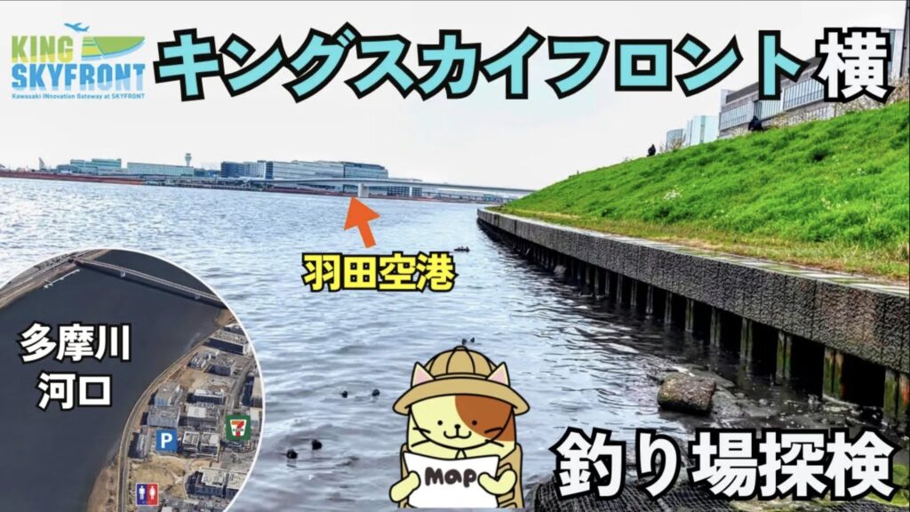 多摩川河口（キングスカイフロント横）の釣り場ガイド！シーバス・ハゼの好ポイント