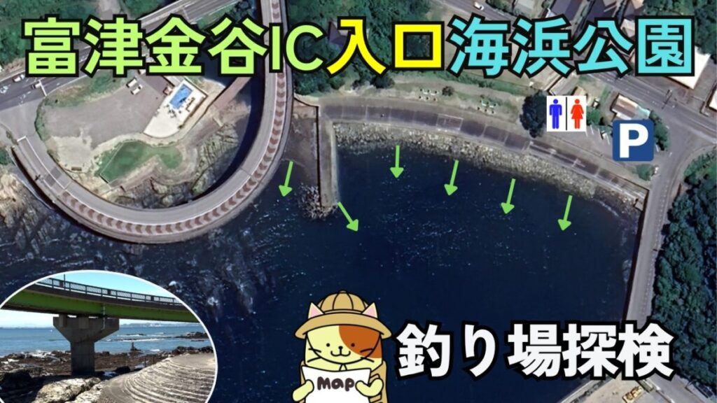 【富津金谷IC入口海浜公園】釣り場ガイド！釣れる魚・アクセス・トイレ・駐車場情報を徹底解説