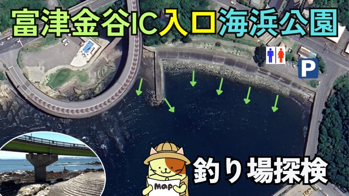 【富津金谷IC入口海浜公園】釣り場ガイド！釣れる魚・アクセス・トイレ・駐車場情報を徹底解説