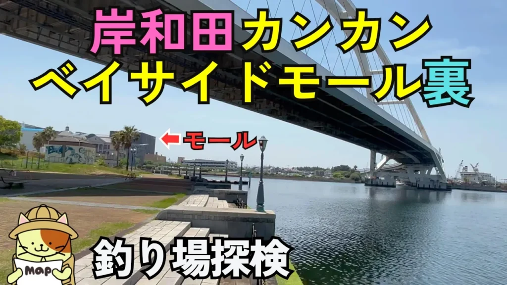 【大阪岸和田カンカンベイサイドモール裏】雨の日も快適な釣り場！アクセス・釣れる魚・周辺情報を徹底解説