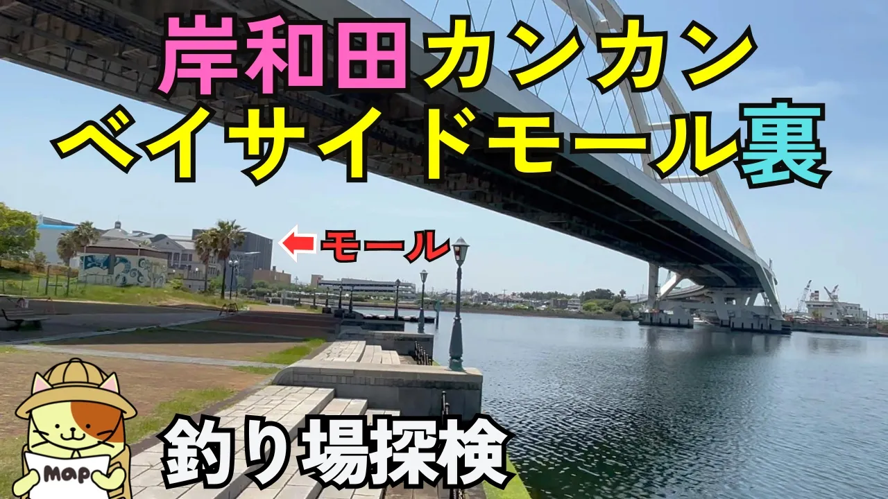 【大阪岸和田カンカンベイサイドモール裏】雨の日も快適な釣り場！アクセス・釣れる魚・周辺情報を徹底解説